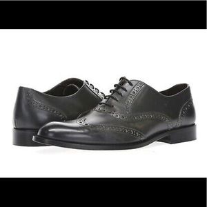 BRUNO MAGLI Alvar Leather Wingtip Oxfords Lace Up